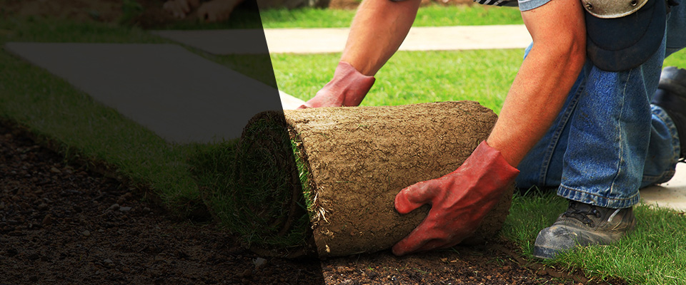 Oglesby Landscapers